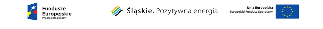 Mój cel to zatrudnienie Fundusze Europejskie Śląskie Pozytywna Energia Europejski Fundusz Społeczny.png